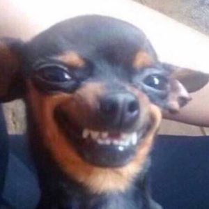 Meet your Posher, Alan